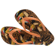 Chinelo Havaianas Farm Tucano Onça Sale