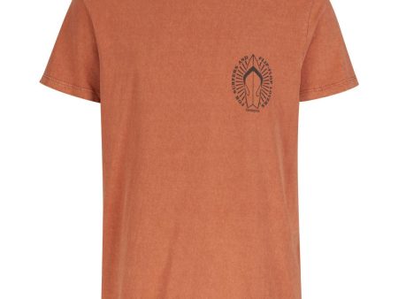 Camiseta Havaianas Carimbo Prancha Online now