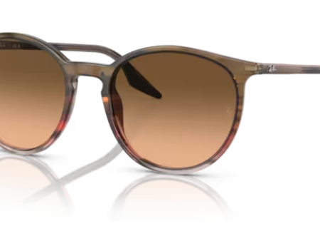 Ray-Ban RB2204 - 13953B Supply