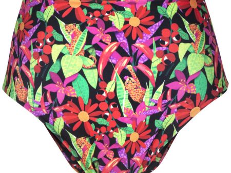 Calcinha Biquíni Hot Pants Dupla Face Havaianas Pantanal Online Hot Sale