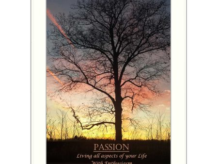 Passion  By Trendy Decor4U, Printed Wall Art, Ready To Hang Framed Poster, White Frame Hot on Sale