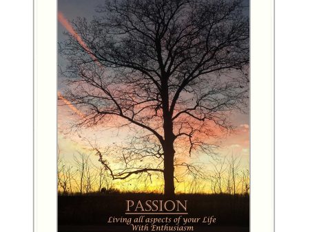 Passion  By Trendy Decor4U, Printed Wall Art, Ready To Hang Framed Poster, White Frame on Sale