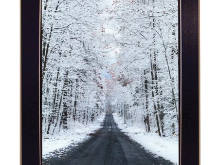 All Roads lead Home (winter lane)  by Lori Deiter, Ready to Hang Framed Print, Black Frame Supply