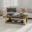 Woker Furniture  48  Wide Rectangular Coffee Table with Black Tempered Glass Top, Golden Stainless Steel Double-Layer Coffee Table for Living Room Fashion