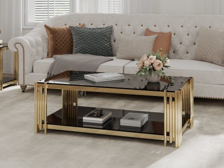 Woker Furniture  48  Wide Rectangular Coffee Table with Black Tempered Glass Top, Golden Stainless Steel Double-Layer Coffee Table for Living Room Fashion