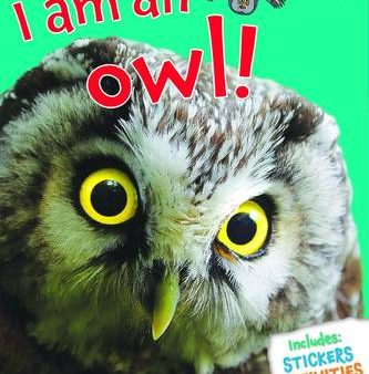 Miles Kelly: I am an Owl! [2014] paperback Cheap